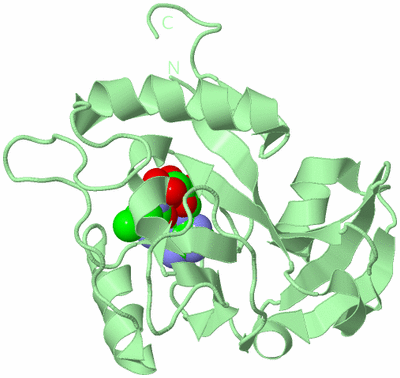 Image Biological Unit 2