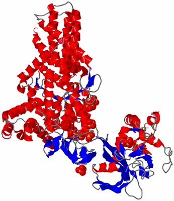 Image Asym./Biol. Unit