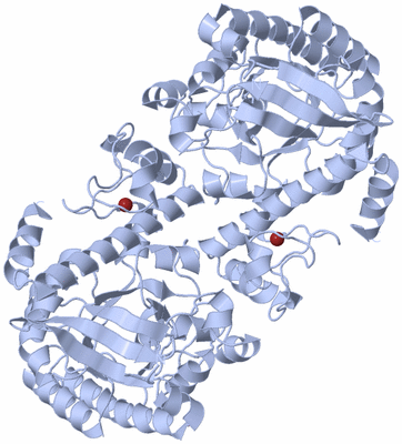 Image Biological Unit 2