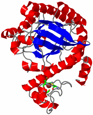 Image Asym. Unit - sites