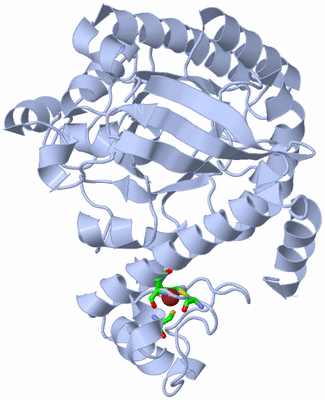 Image Biol. Unit 1 - sites