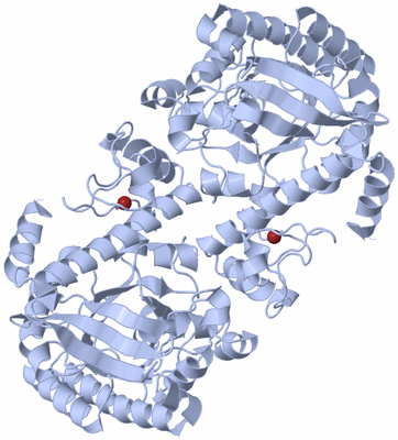 Image Biological Unit 2