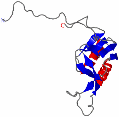 Image NMR Structure - model 1