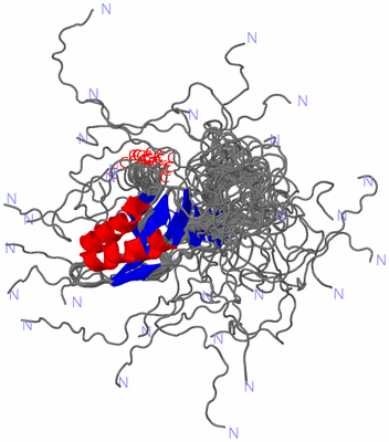 Image NMR Structure - all models