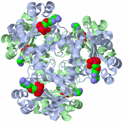 Image Biological Unit 1