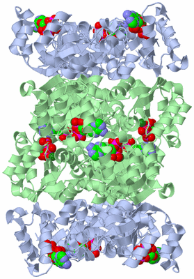 Image Biological Unit 2