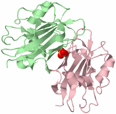 Image Biological Unit 5