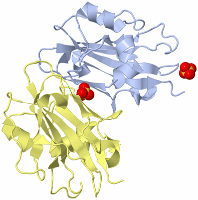 Image Biological Unit 6