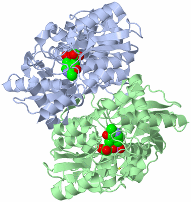 Image Asym./Biol. Unit