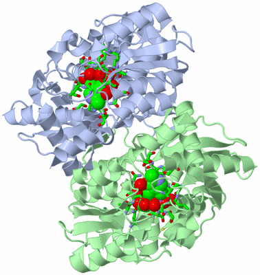 Image Asym./Biol. Unit - sites