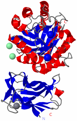 Image Asym./Biol. Unit