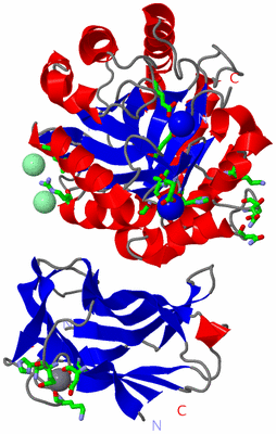 Image Asym./Biol. Unit - sites