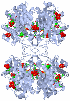 Image Biol. Unit 1 - sites