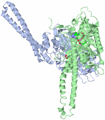 Image Asym./Biol. Unit