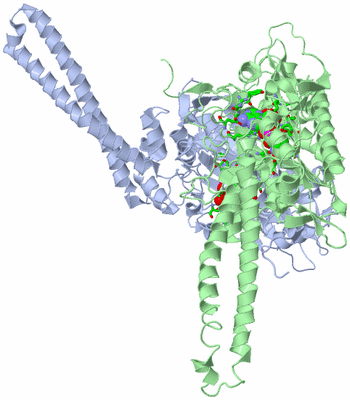 Image Asym./Biol. Unit - sites