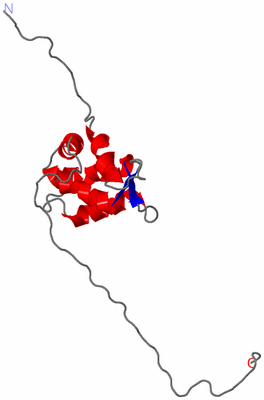 Image NMR Structure - model 1