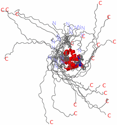 Image NMR Structure - all models