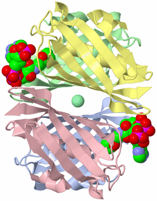 Image Biological Unit 1