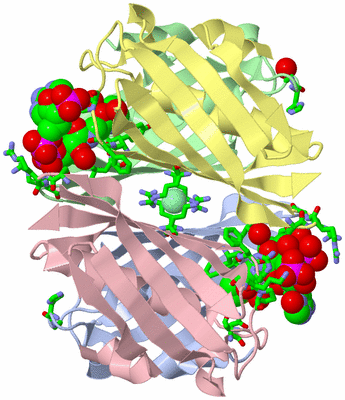 Image Biol. Unit 1 - sites