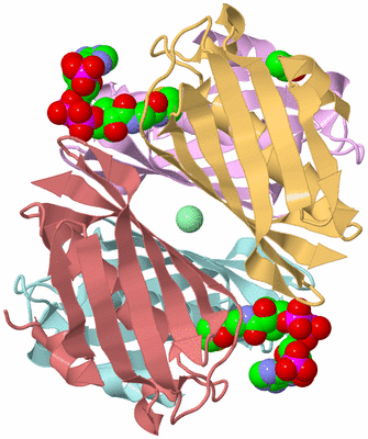 Image Biological Unit 2