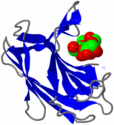 Image Asymmetric Unit