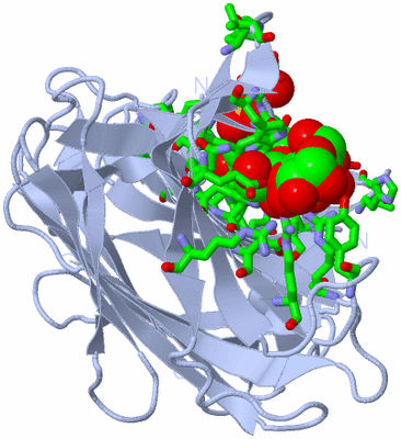 Image Biol. Unit 1 - sites