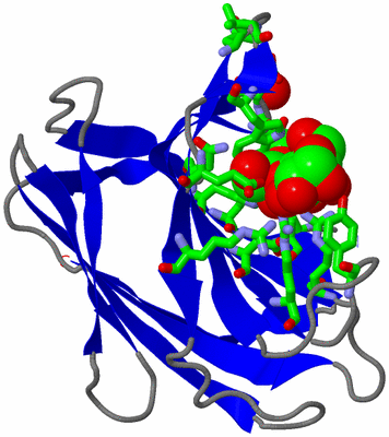 Image Asym. Unit - sites