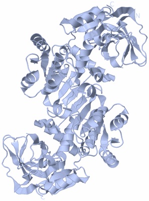 Image Biological Unit 2