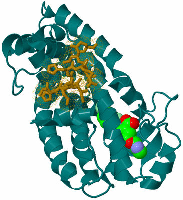 Image Asym./Biol. Unit