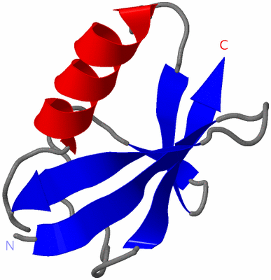 Image Asymmetric Unit