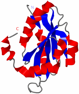 Image NMR Structure - model 1