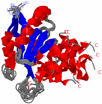 Image NMR Structure - all models