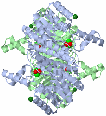 Image Biological Unit 1