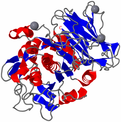 Image Asym./Biol. Unit
