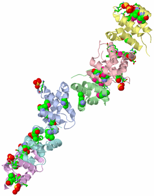 Image Asym./Biol. Unit - sites