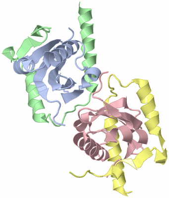 Image Biological Unit 1