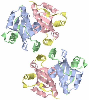 Image Biological Unit 2