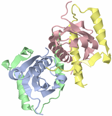 Image Biological Unit 3