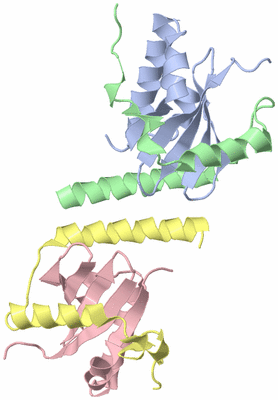 Image Biological Unit 4