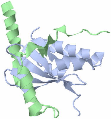 Image Biological Unit 5