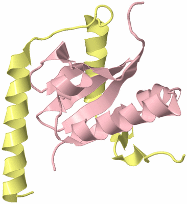 Image Biological Unit 6