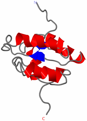 Image NMR Structure - model 1