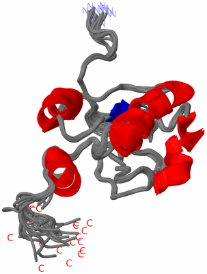 Image NMR Structure - all models