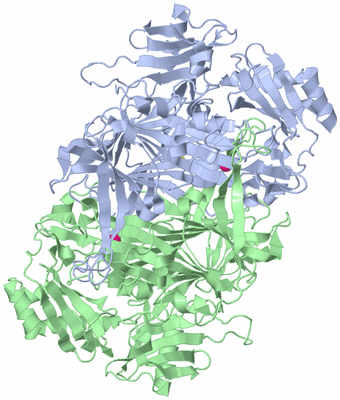 Image Asym./Biol. Unit