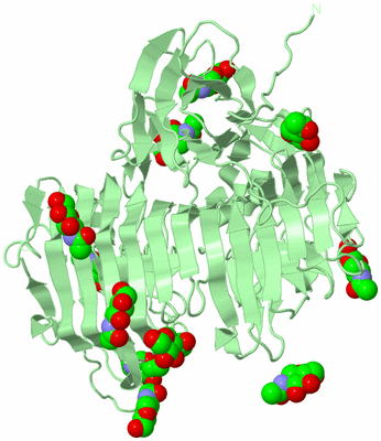 Image Biological Unit 2