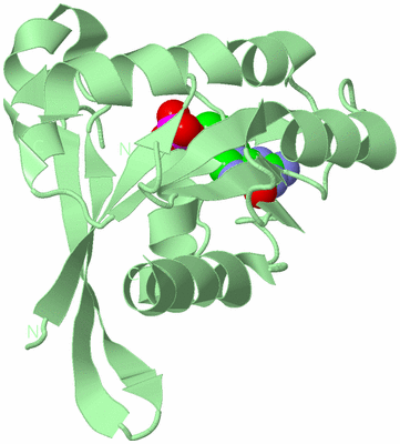 Image Biological Unit 2