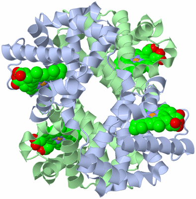 Image Biological Unit 1