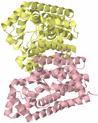 Image Biological Unit 2