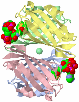Image Biological Unit 1