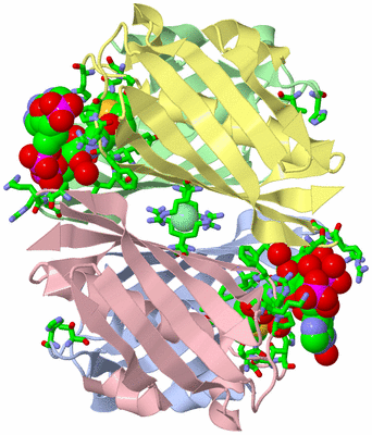 Image Biol. Unit 1 - sites